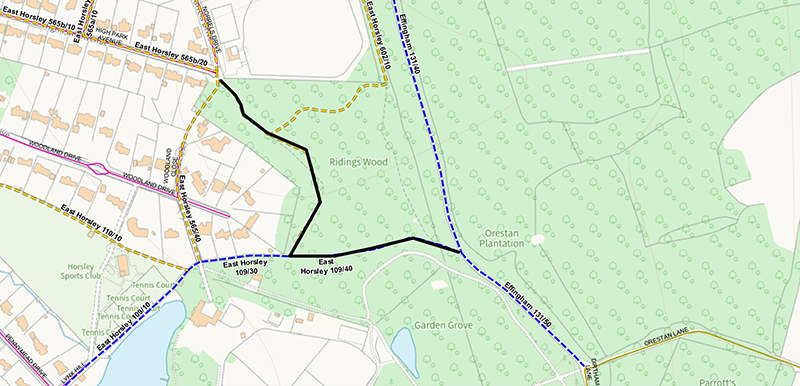 Footpaths Ridings Wood