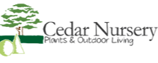 Cedar Nursery